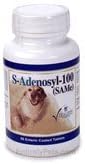 SAMeLQ 100 Chewable Tablets 60 ct