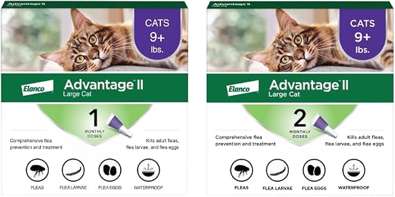 Advantage II Large Cat Vet-Recommended Flea Treatment & Prevention | Cats Over 9 lbs. | 3-Month Supply