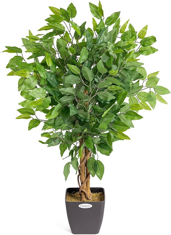 CHRISTOW Artificial Ficus Tree (Weeping Fig) In Pot, 3ft | Twisted Wooden Trunk, Lush Green Leaves, Weighted Pot, Indoor Decoration for Homes & Offices